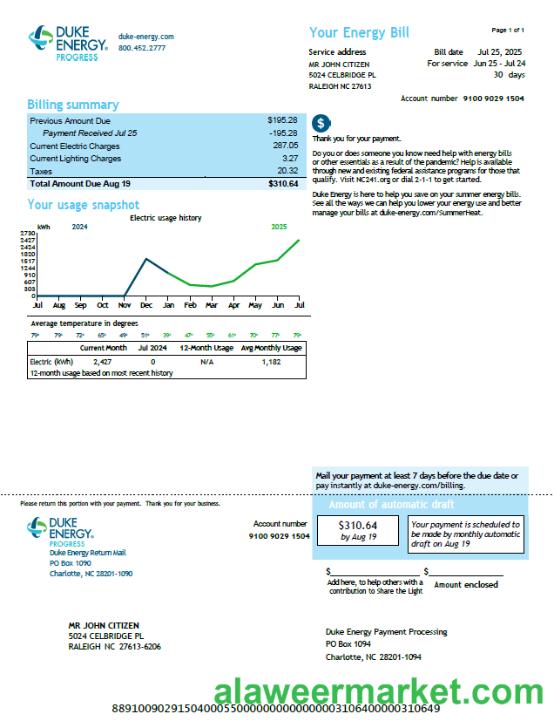 USA Duke Energy utility bill template in Word and PDF formats, version 3